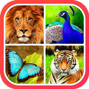 Animals Learning APK