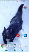 Theme - Winter Cat 2 Affiche