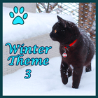 Theme - Winter Cat 3 icône