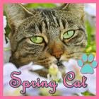 Theme - Spring Cat 4 icône