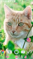 Theme - Spring Cat 1 海报