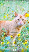 Theme - Spring Cat 1 截图 1