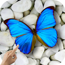 Magic Touch: Butterflies APK