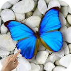 Magic Touch: бабочки иконка