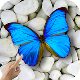 Magic Touch: Butterflies Zeichen
