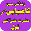 Hazrat Ali(RA) k Aqwal Asool