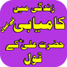 Hazrat Ali(RA) k Aqwal Asool icône