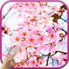 Magic Touch: Japanese Sakura APK