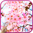 Magic Touch: Japanese Sakura icône