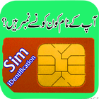 Pakistan SIM Info Identity ícone
