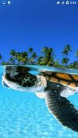 Turtle Underwater 3D Wallpaper capture d'écran 1