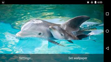 Water Effect: Dolphins скриншот 3