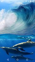 Water Effect: Dolphins plakat