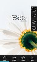 Bibble Studio screenshot 1