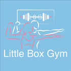 Little Box Gym icône