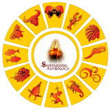 SAPTARISHIS ASTROLOGY icône