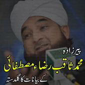 Saqib Raza Mustafai Bayan icon