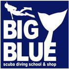 BIGBLUE icon