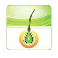 Priorin Hair Care