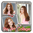 Pic Art Collage ไอคอน