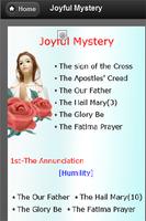 Rosary Prayer Holy Mary capture d'écran 1