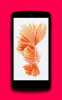 Stock Wallpapers IOS Pro Poster