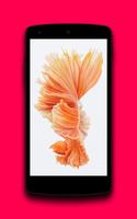 Stock Wallpapers IOS Pro پوسٹر