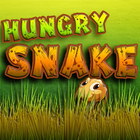 Hungry Snake أيقونة