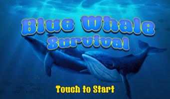 Blue Whale Survival 海报