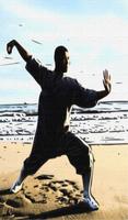 Learn Tai Chi poster