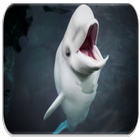 آیکون‌ Beluga Whale sounds