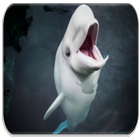 Beluga sons des baleines icône