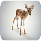 Deer sounds icon