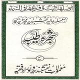 Shajrah Naqshbandia Mujadidiya Zeichen