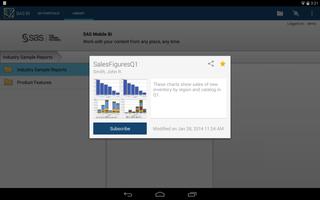 SAS® BI Classic screenshot 1