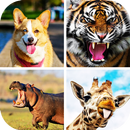 170+ Звуки животных APK