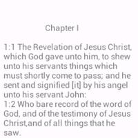 پوستر The Revelation