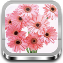 Cómo dibujar Flores APK