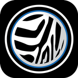 Zebra Cabs