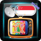 Channel Sat TV Singapore icon