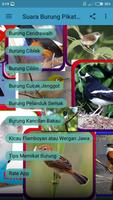 Suara Burung Pikatan Lengkap Ekran Görüntüsü 1