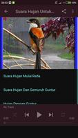 Suara Hujan Untuk Terapi Burung স্ক্রিনশট 1