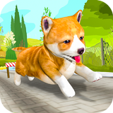 Pet Run Adventure icon
