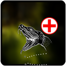 Snake Bite Emergency Tips APK