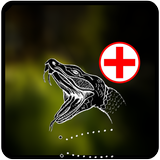 Snake Bite Emergency Tips Zeichen