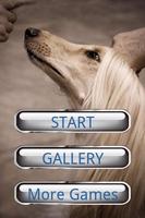 Dog Puzzle: Afghan Hound poster