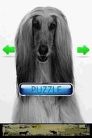 Dog Puzzle: Afghan Hound Screenshot 1