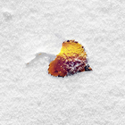 Snow Puzzle icon