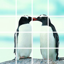 Puzzle Penguin APK