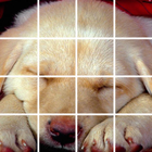 Dog Puzzle ไอคอน
